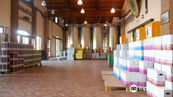 Cantina Formigine Pedemontana