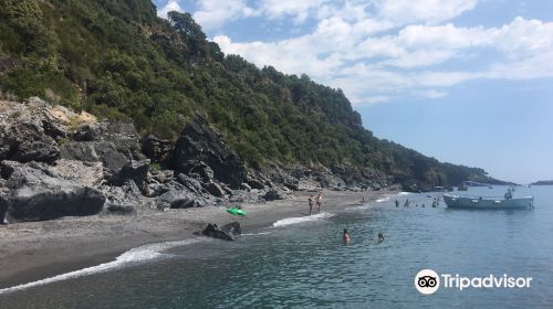 Beach of The Vranne