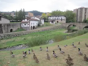 IGARTZAKO MONUMENTU MULTZOA