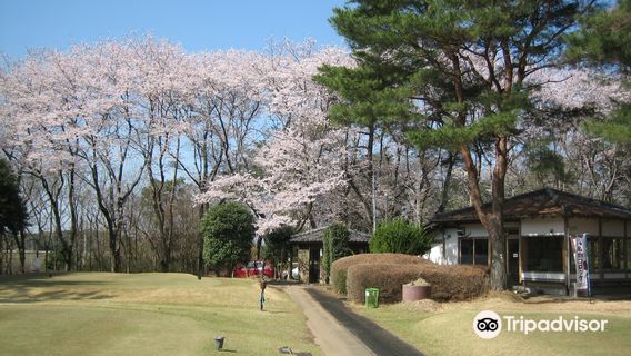Tsukuba Tokyu Golf Club