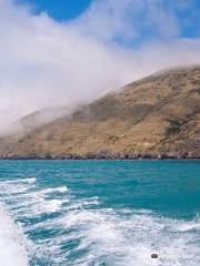 Akaroa Sea Ventures