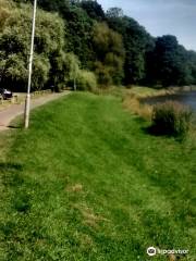 Wansbeck Riverside Park