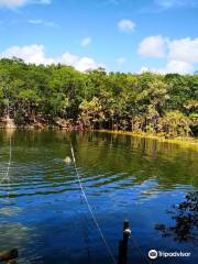 Monumento Ruta de los Cenotes