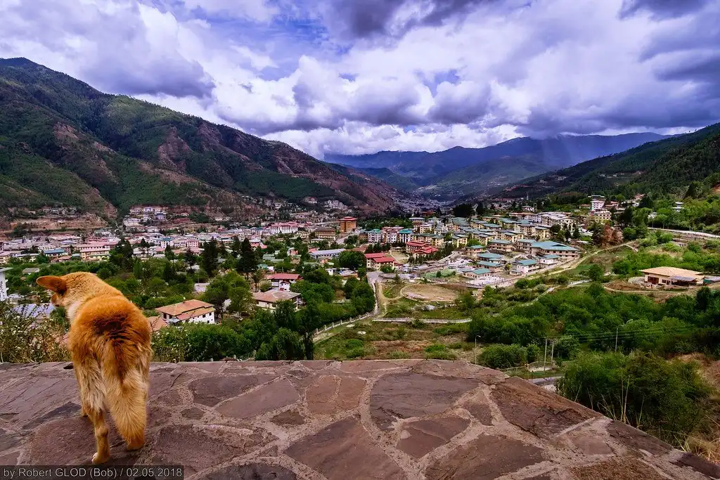 Hotels near Changangkha Lhakhang