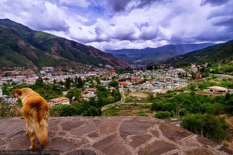Hotel dekat Changangkha Lhakhang