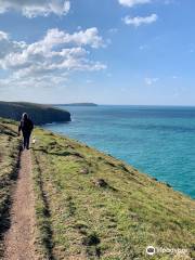 Padstow to Harlyn Bay Trail