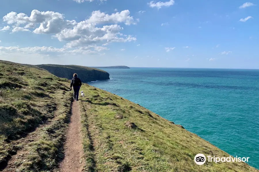 Padstow to Harlyn Bay Trail