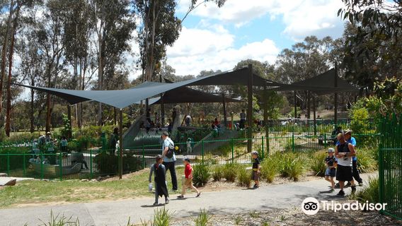 Boundless Playground