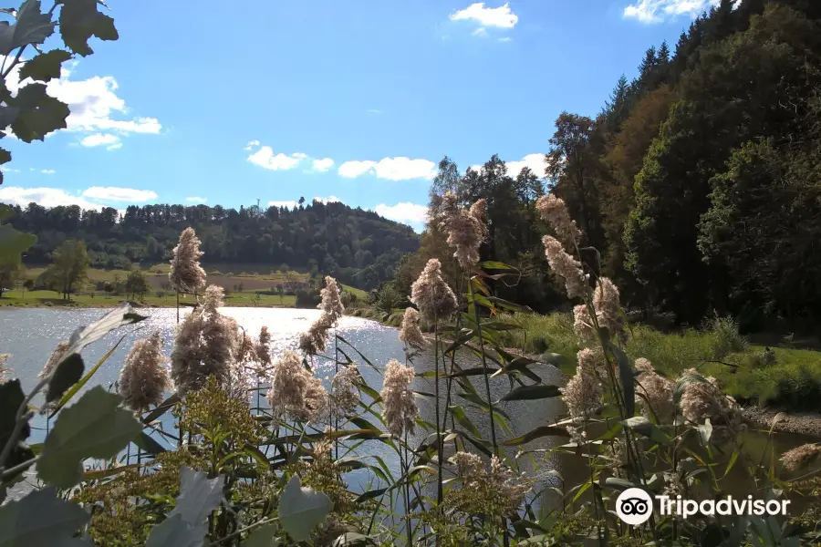 Pappelwaldsee Berghaupten