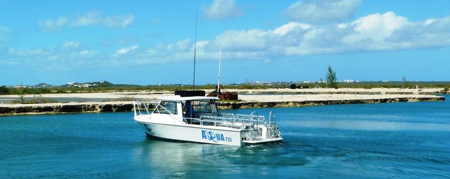 Aqua Tci