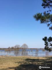 Local Landscape Park Seimskiy