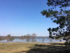 Local Landscape Park Seimskiy