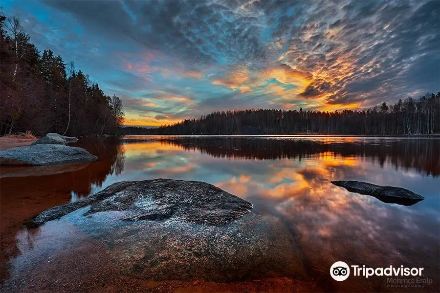 Lake Päijänne Cruises