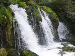 Parc Naturel de Cadi-Moixero