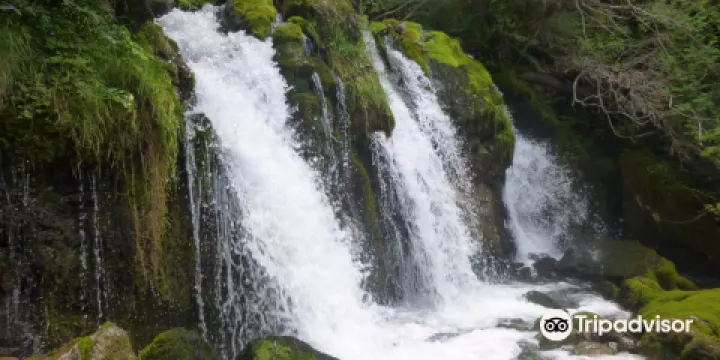 Parc Naturel de Cadi-Moixero