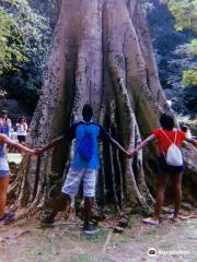 Parque Sao Bartolomeu