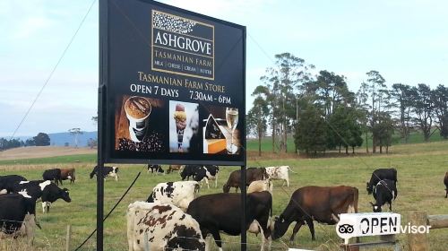 Ashgrove Cheese Dairy Door