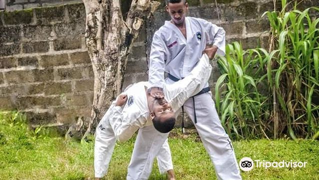 Sri Lanka Taekwon-Do Association