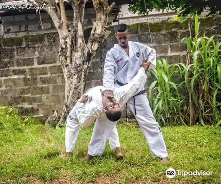 Sri Lanka Taekwon-Do Association