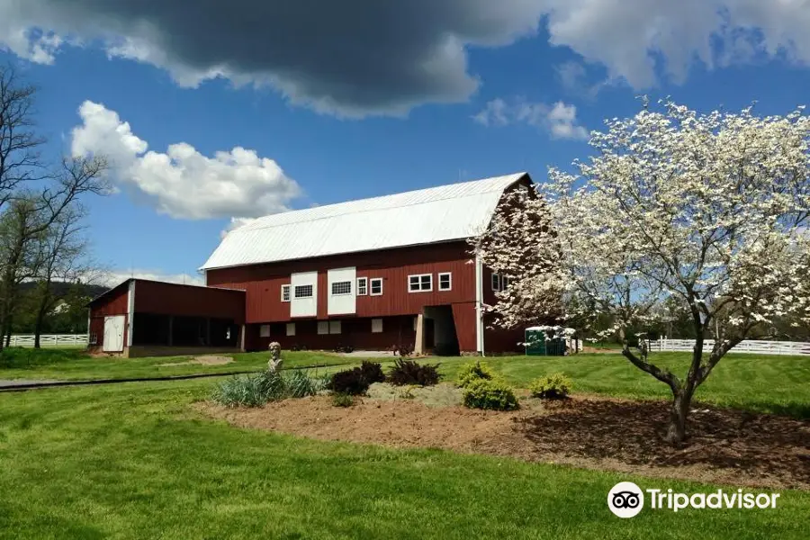 Hiddencroft Vineyards