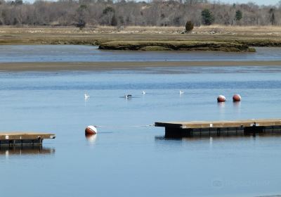 Mass Audubon's North River Wildlife Sanctuary