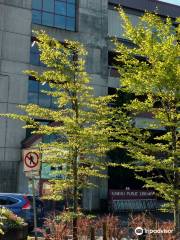 Juneau Public Library