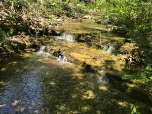 Big Sugar Creek State Park