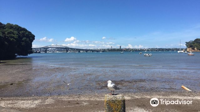 Little Shoal Bay Reserve
