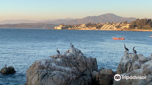 Caleta Higuerillas