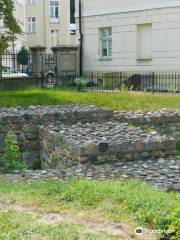 Rezerwat Archeologiczny Zamku Kazimierzowskiego