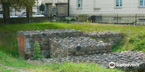 Rezerwat Archeologiczny Zamku Kazimierzowskiego