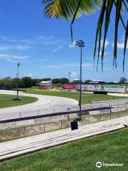 Bushy Park Barbados