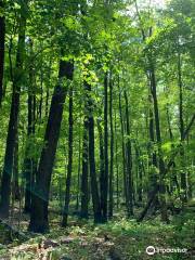 Mille Lacs Kathio State Park