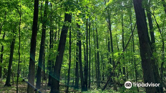 Mille Lacs Kathio State Park