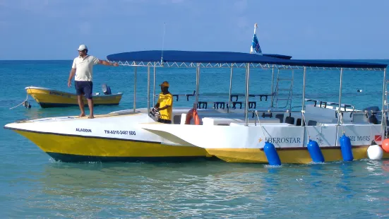 Dressel Divers Bayahibe