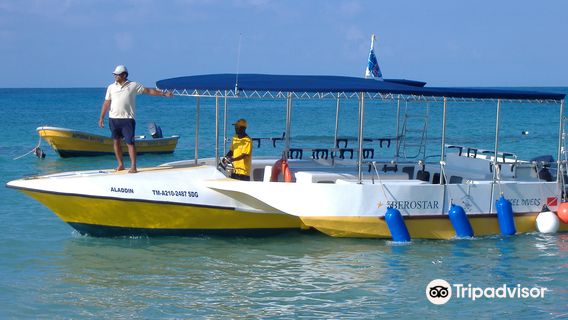 Dressel Divers Bayahibe