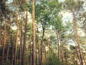 Sentier des Merveilles