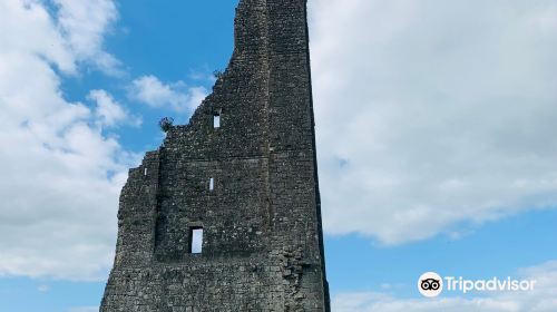 St. Mary's Abbey, Trim