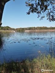 Caddo National Grassland