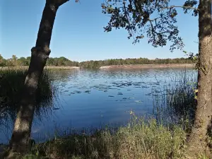 Caddo National Grasslands