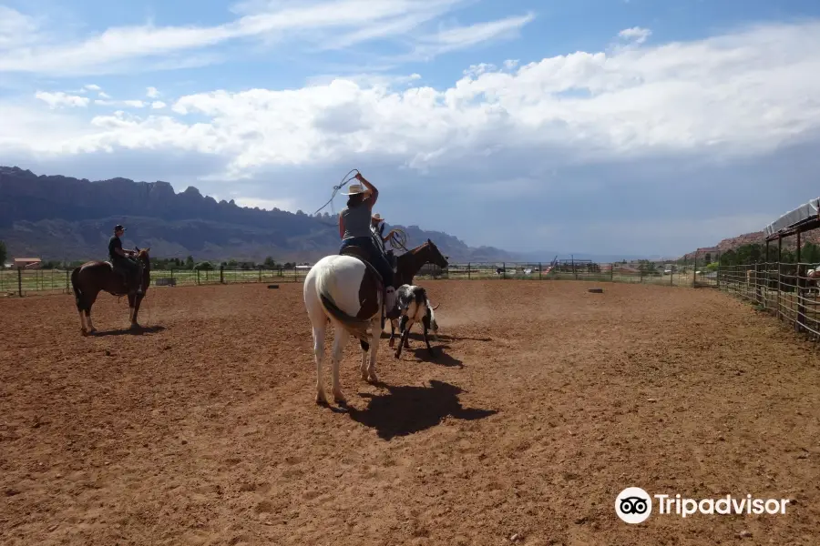 MH Cowboy - Day Tours