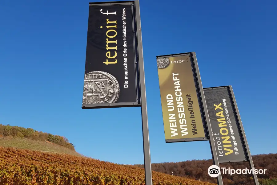 terroir f Thüngersheim "Wein aus Wissenschaft"