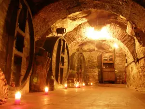 Bodega Histórica Don Carlos - Bodegas Aranda de Duero