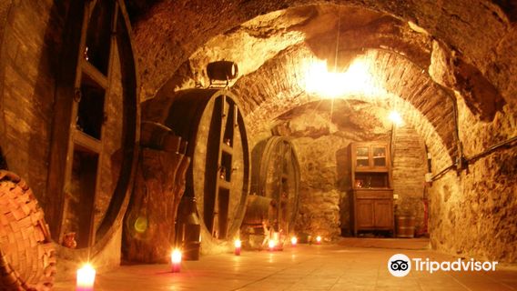 Don Carlos Bodega Historica