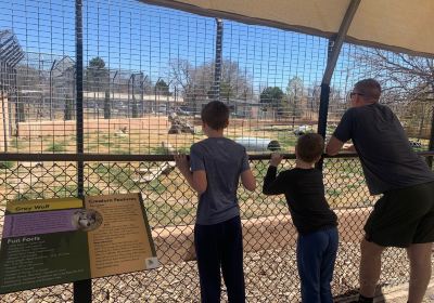 Spring River Zoo