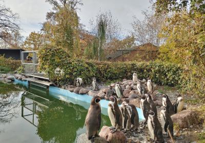 Guldborgsund Zoo & Botanisk Have