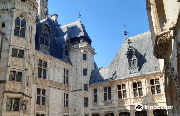 雅克·柯爾宮門票成人