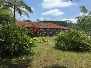 Hacienda Cacaotera La Luz