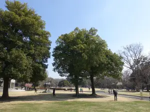 IDA Forest of Gunma (Gunma no Mori)