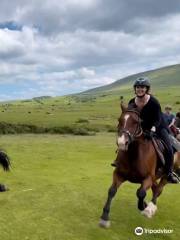 Trans Wales Trails